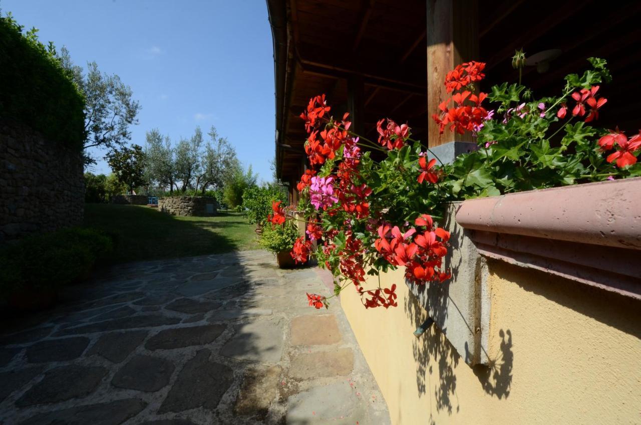 Agriturismo La Casella Castelfranco di Sopra Extérieur photo